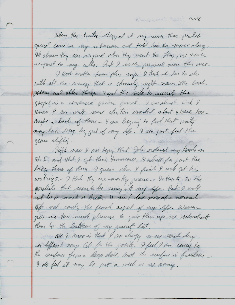 Dr John WorldPeace 2008 Prison Journal